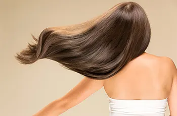 hair care cat banner